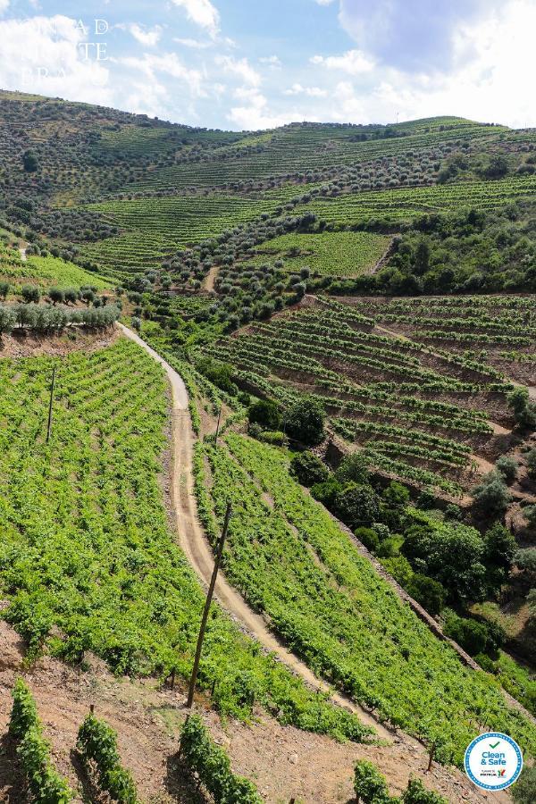 Quinta Do Monte Bravo - Douro - Quarto Duplo Villa Ervedosa do Douro Exterior photo